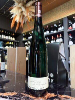 Clemens Busch Riesling Vom Roten Schiefer Trocken