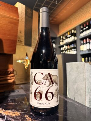 CA 66 Pinot Noir Weingut Hannes Sabathi